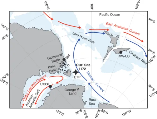 Fig. 1. Map of the Southwest Pacific Ocean showing the early Eocene (∼ 53 Ma) continen- continen-tal configuration, illustrating modern continents (gray), areas shallower than 300 m (blue) and locations of ODP Site 1172 and localities listed in Table 1