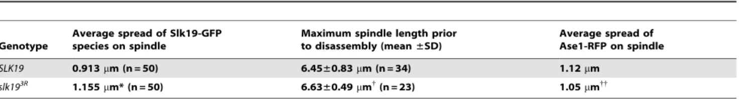 Table 1. Spread of Slk19-GFP species and Ase1-RFP on spindle vs. spindle length prior to spindle disassembly.