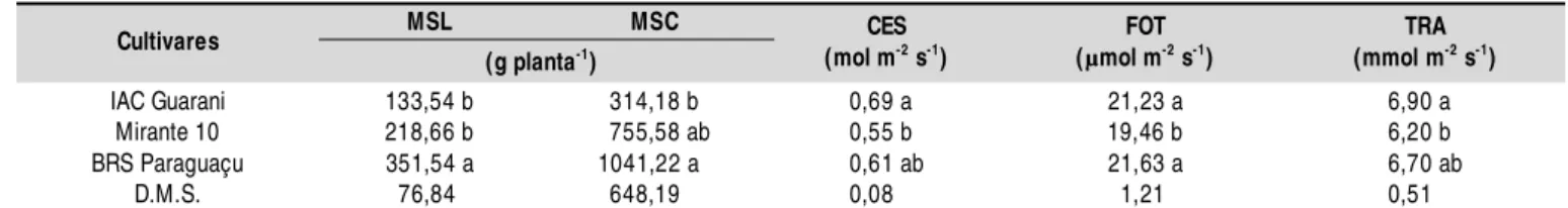 Tabela 3.  Massa seca do li mbo foliar (MSL), massa seca do caule (MSC), condutância estomáti ca (CES), fotossíntese (FOT) e transpiração (TRA) das três cultivares cultivadas sob diferentes níveis de irrigação*