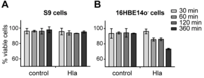 Figure 1. Survival of S9 and 16HBE14o 2 cells is differentially affected by rHla treatment