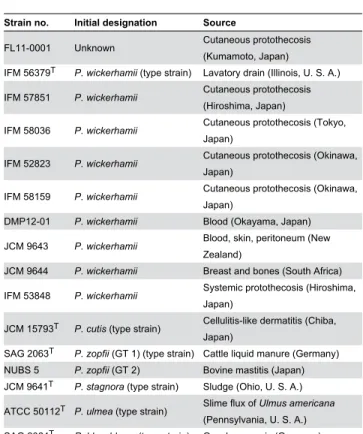 Table 3. PCR primers used in this study.