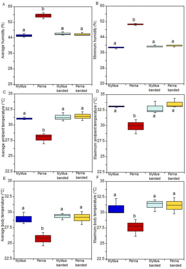 Figure 5. Results of additional group gaping experiment in the field. (a) Average and (b) maximum value of humidity; (c) average and (d) maximum value of ambient temperature; (e) average and (f) maximum robomussel temperature