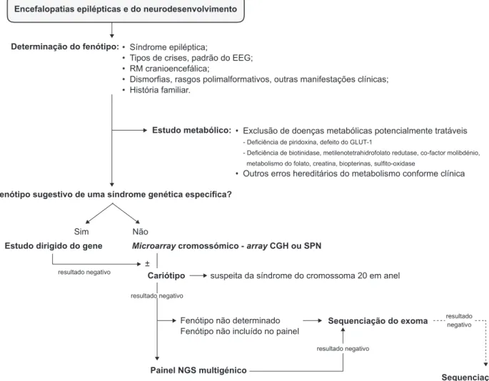 Figura 1 – Algoritmo diagnóstico para estudo das encefalopatias epilépticas infantisEncefalopatias epilépticas e do neurodesenvolvimento