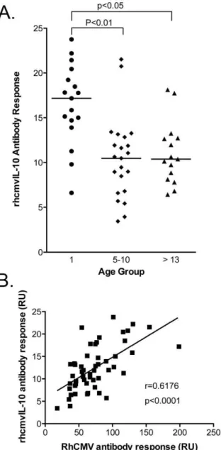 Figure 2. rhcmvIL-10 antibody response. (A) An age comparison of rhcmvIL-10 responses in 54 macaques seropositive for RhCMV stratified into 3 age groups; infant (#1 year), adult (5–10 years) and aged ( $ 13 years)