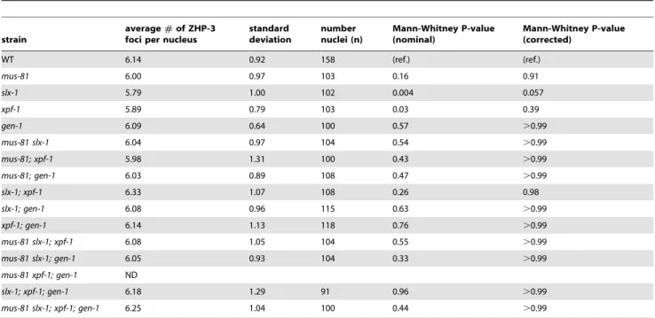Table 1. ZHP-3 foci in late pachytene and diplotene nuclei of the nuclease-deficient mutants.