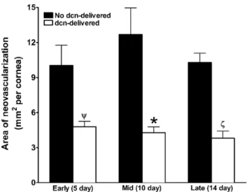 Figure 4. Representative H&amp;E staining images showing anti-angiogenic efficiency of decorin gene therapy in rabbit corneas