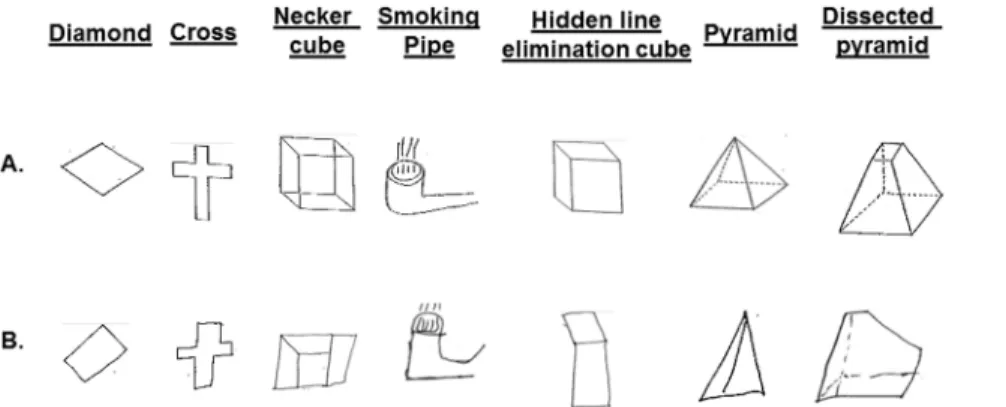 Figure 2. Detection and Recognition of an Object Test (DROT).