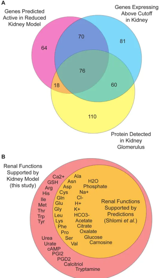 Figure 7. Comparative reduced kidney model evaluation. (A) Overlap of gene activity predictions with genes expressing above the significance threshold