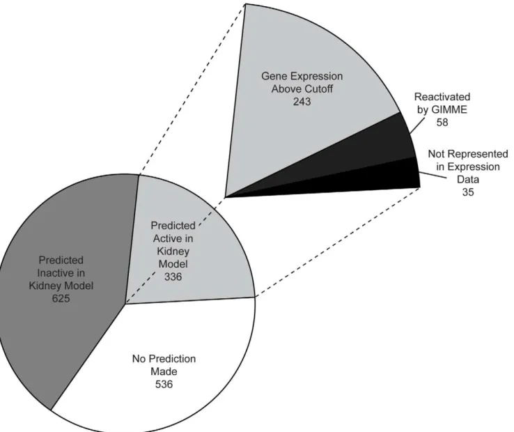 Figure 2. Summary of gene activity predictions in the full kidney model. The pie chart at bottom represents the Recon1 gene activity predictions resulting from deriving the kidney model