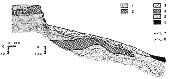 FIGURA 8 – Hyperbav – Costa do Marfim (FRITSCH et al. 1990). Reproduzido com autorização de ORSTOM.