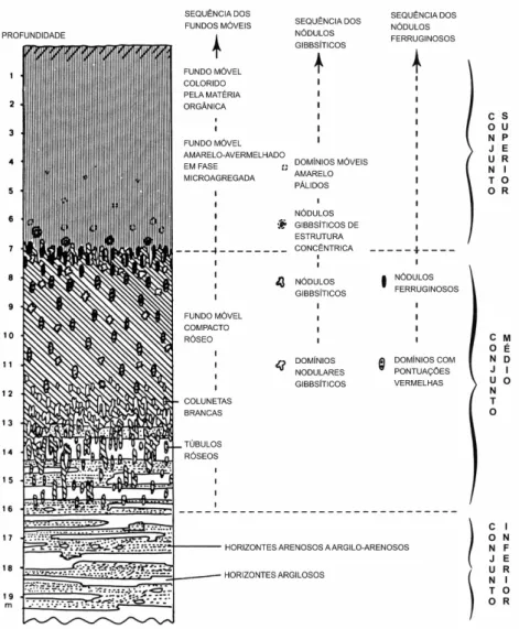 FIGURA 2 – Esquema da organização vertical dos solos de platôs da região norte de  Manaus (LUCAS 1989).