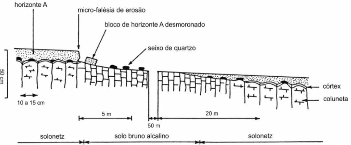 FIGURA 4 – Sistema com ligações eluviação-erosão em topossequência de Tassamakat, Burquina  Faso (BOULET 1974)