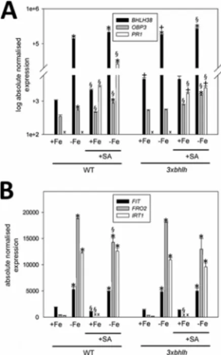 Figure 2. Molecular and physiological Fe acquisition responses of the 3xbhlh mutant. A, Gene expression of FIT , FRO2 , IRT1 in roots; B, Fe reductase activity; C, NRAMP4 , FRO3 , OPT3 , NAS4 , gene expression in roots; D, NRAMP4 , FRO3 , OPT3 , NAS4 , gen