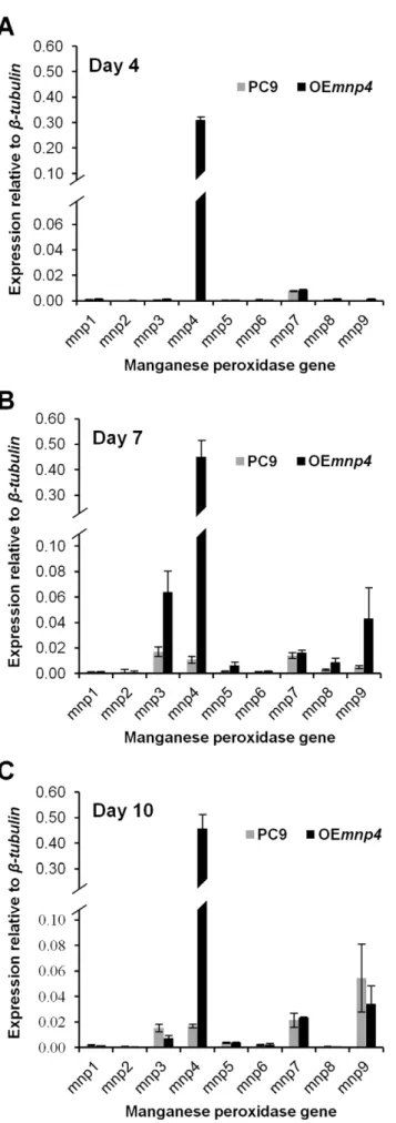 Figure 4. Time-course assay of peroxidase activity. Mn 2+ - -dependent (+Mn 2+ ) and Mn 2+ -independent ( 2 Mn 2+ ) peroxidase  activ-ities of P