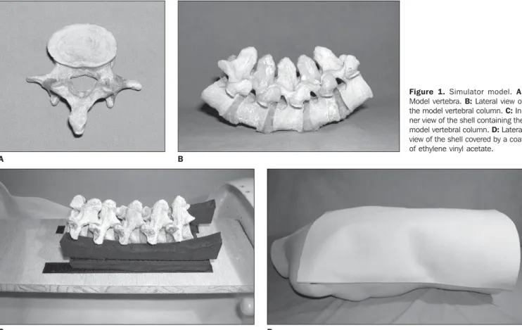 Figure 1. Simulator model. A: