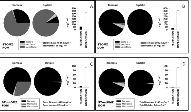 Fig. 4. Comparison between stations and treatments and overview of the benthic community structure and functioning