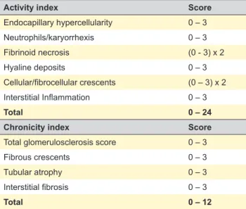 Table 2 – Morphological indexes scoring system. (A) Austin’s activity and chronicity indexes; (B) Hill biopsy index B: