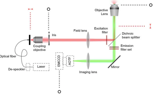 Figure 1. Diagram of the custom-modified epi-luminescence imaging system employed for single-UCNP and spectral imaging