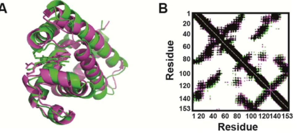 Figure 2 shows the time-evolution of several properties for the 310-K simulations (in bluish colors) and the 500-K simulations (in reddish colors)
