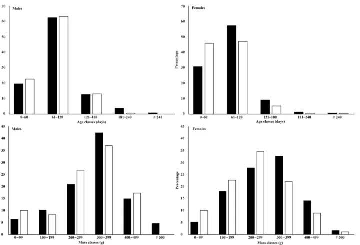 Fig 1. Seasonal comparison of age ( above ) and mass ( below ) classes for male and female Norway rats from Salvador, Brazil