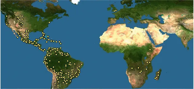 FIGURA 3 – Mapa de distribuição das espécies de Anemia atuais (pontos amarelos). Fonte: DISCOVER LIFE  (2011)