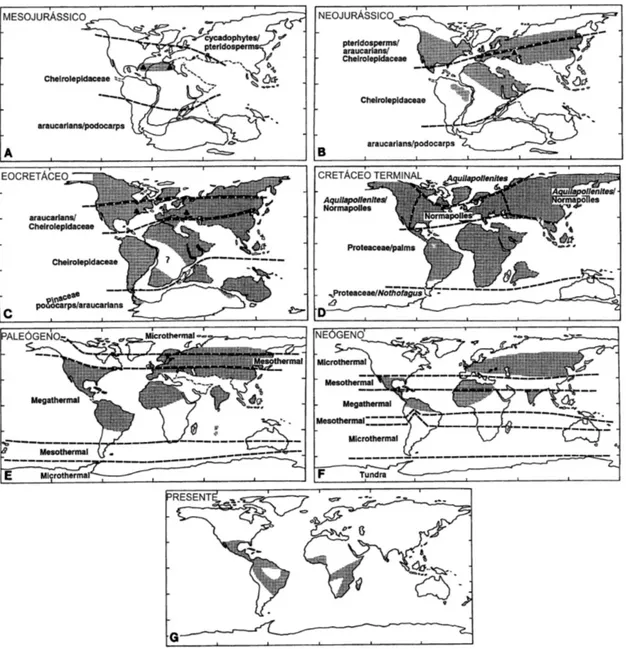 FIGURA 4 – Mapas paleogeográficos que mostram a sequência de surgimento e distribuição temporal e espacial  de Anemia desde o Mesojurássico até o Presente