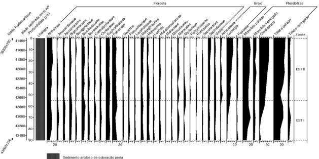 FIGURA 3 – Diagrama palinológico de porcentagem, mostrando os principais tipos e famílias, agrupados em  floresta, brejos e pteridófitas.