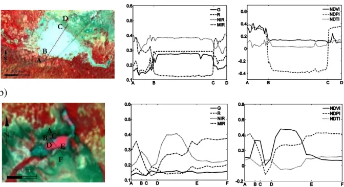 Fig. 4. From left to right, color composite, radiometric transects and corresponding indexes values for the two categories of ponds, based on a SPOT-4 image from 22 August 2005