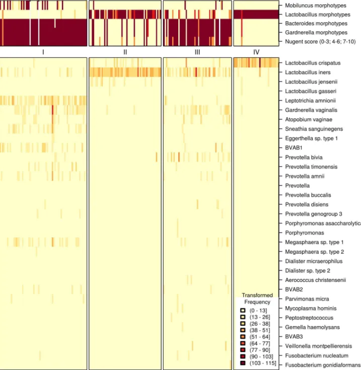 Figure 1.  Heat map of bacterial sequence reads clustered using Dirichlet Multinomial Mixtures model