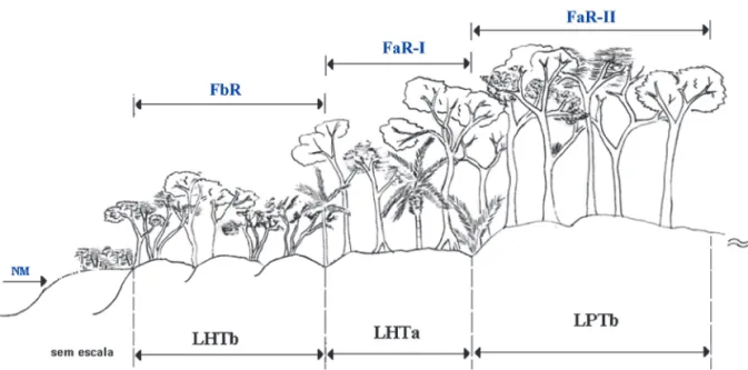 FIGURA 3 – Associações entre as Unidades Quaternárias e as fitofisionomias florestais encontradas na área de  estudo