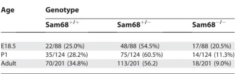 Table 1. Progeny of Sam68 Heterozygote Breeding