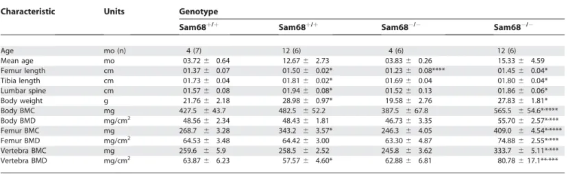 Table 2. Morphology and Bone Mineral Density in 4- and 12-Month-Old Female Mice