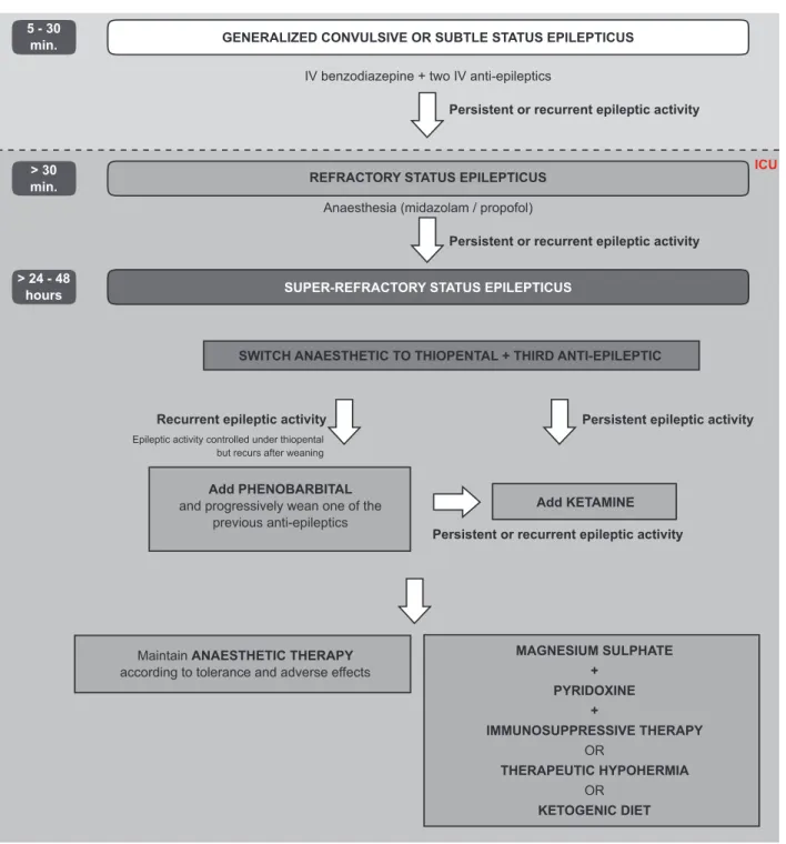 Figure 1 – Flowchart for the treatment of super-refractory status epilepticus (refer to Conclusions for an explanation)