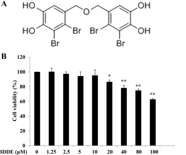 Fig 1. BDDPM did not reduce the survival of HepG2 cells up to 10 μM. (A) Structure of BDDE; (B) The HepG2 cells were treated with BDDE; after 48 h incubation, cell viability was evaluated with the MTT Assay