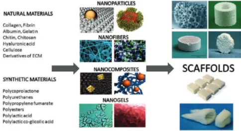 Figure 2. Synthesis, structure and design of different forms of nanomaterials used as scaffolds in tissue engineering