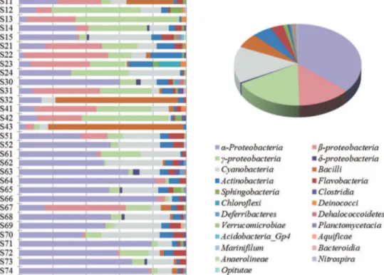 Figure 2. Phylotype distribution and comparison of the clone libraries from individual sampling sites (histogram) and entire nSCS (pie).