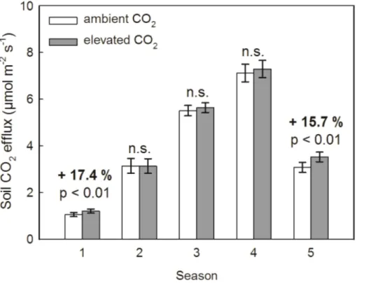 Figure 3. Mean soil respiration rates during the five defined seasons under ambient and el- el-evated CO 2 averaged over three years from 2008–2010; (1) = winter dormancy ; (2) = start of vegetation period; (3) = spring; (4) = summer ; (5) = autumn (for de