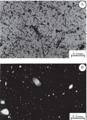 FIGURA 12 - Fotomicrografias de espículas de esponjas.