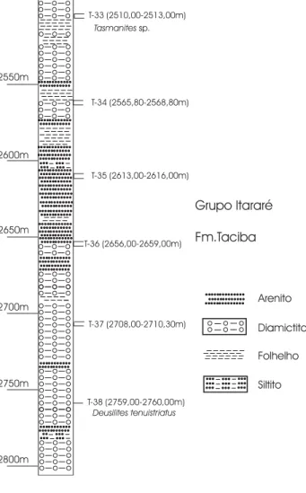 FIGURA 7 - Ocorrência de acritarcos na seção estratigráfica do poço 1-TP-1-SC (Três Pinheiros, Santa Catarina).