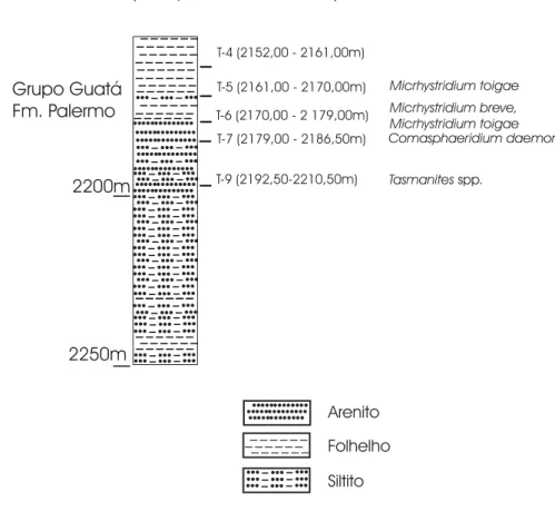 FIGURA 3 - Ocorrência de acritarcos na seção estratigráfica do poço 2-CS-1-PR (Chapéu do Sol, Paraná).