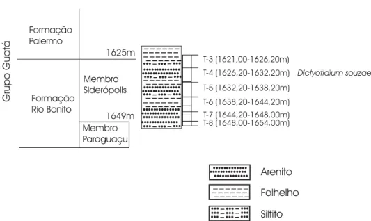 FIGURA 4 - Ocorrência de Dictyotidium souzae nov. sp. na seção estratigráfica  do poço 3-MC-3-SC (Matos Costa, Santa Catarina).