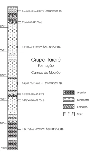 FIGURA 5 - Ocorrência de acritarcos na seção estratigráfica do poço 2-O-1-PR (Ortigueira, Paraná).