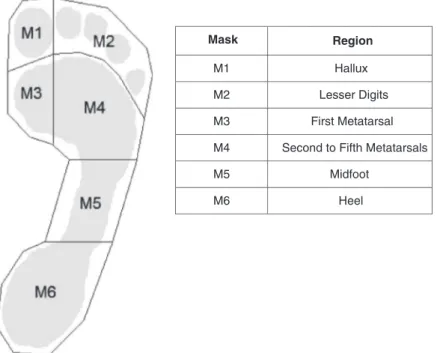 Fig. 1. Plantar regions analyzed and masking configuration.