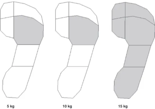 Fig. 3. Regions displaying statistically significant increases in mean pressure for load conditions compared to the control condition (0 kg).