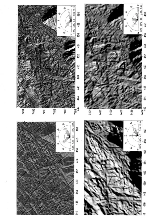 FIGURA 3 - Diagramas de rosácea de fotolineamentos interpretados a partir de (a) mosaico semicontrolado de radar (azimute = 90°), (b) imagem de satélite Landsat 5, Banda 4 (azimute 47°, elevação 30°), (c) imagem de sombreamento de relevo (azimute 315°, ele