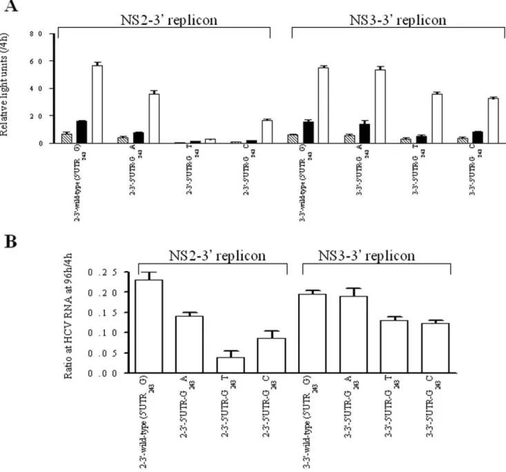 Figure 5. Transient-replication assay of the NS2-3 9 and NS3-3 9 replicons. The replicons each carried wild-type (59UTR 243 G), 59UTR-G 243 A, 5 9 UTR-G 243 T and 5 9 UTR-G 243 C