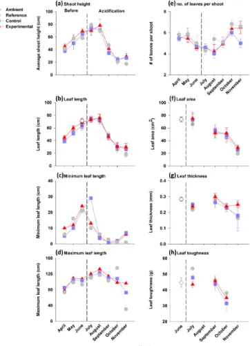 Figure 2. Macrophyte abundance throughout the experiment;