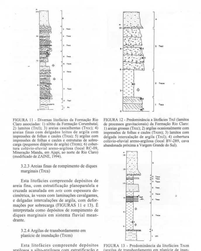 FIGURA Ii - Diversas litofácies da Formação Rio Claro associadas: I) siltito da Formação Corumbataí;