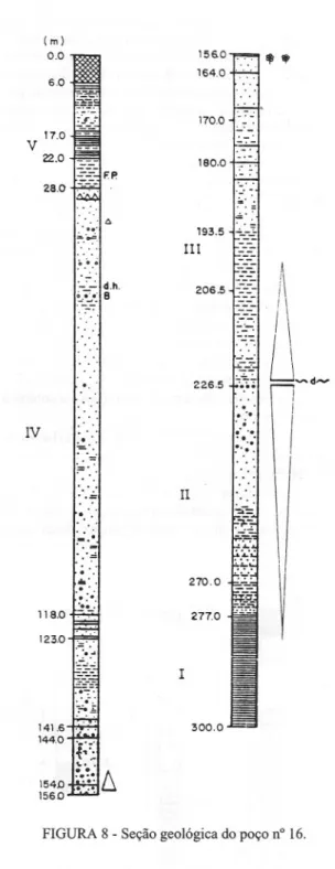 FIGURA 8 - Seção geológica do poço n° 16.