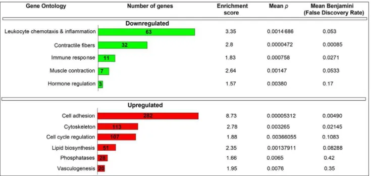 Table 1. Demonstration that qPCR verification primers exhibit exquisite specificity for NIH3T3 (mouse embryonic fibroblasts) cDNA when directly compared to HeLa (human squamous cell carcinoma) cDNA.
